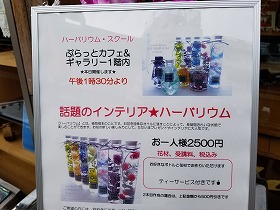 ニュースの写真